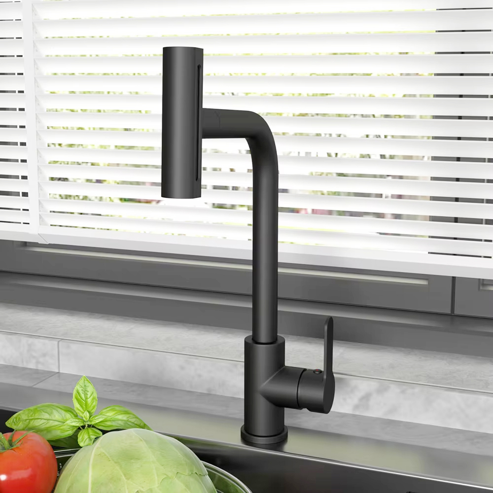 Black Pull Out Kitchen Sink Fa - Commercial Kitchen Mixer Tap 评论和价格