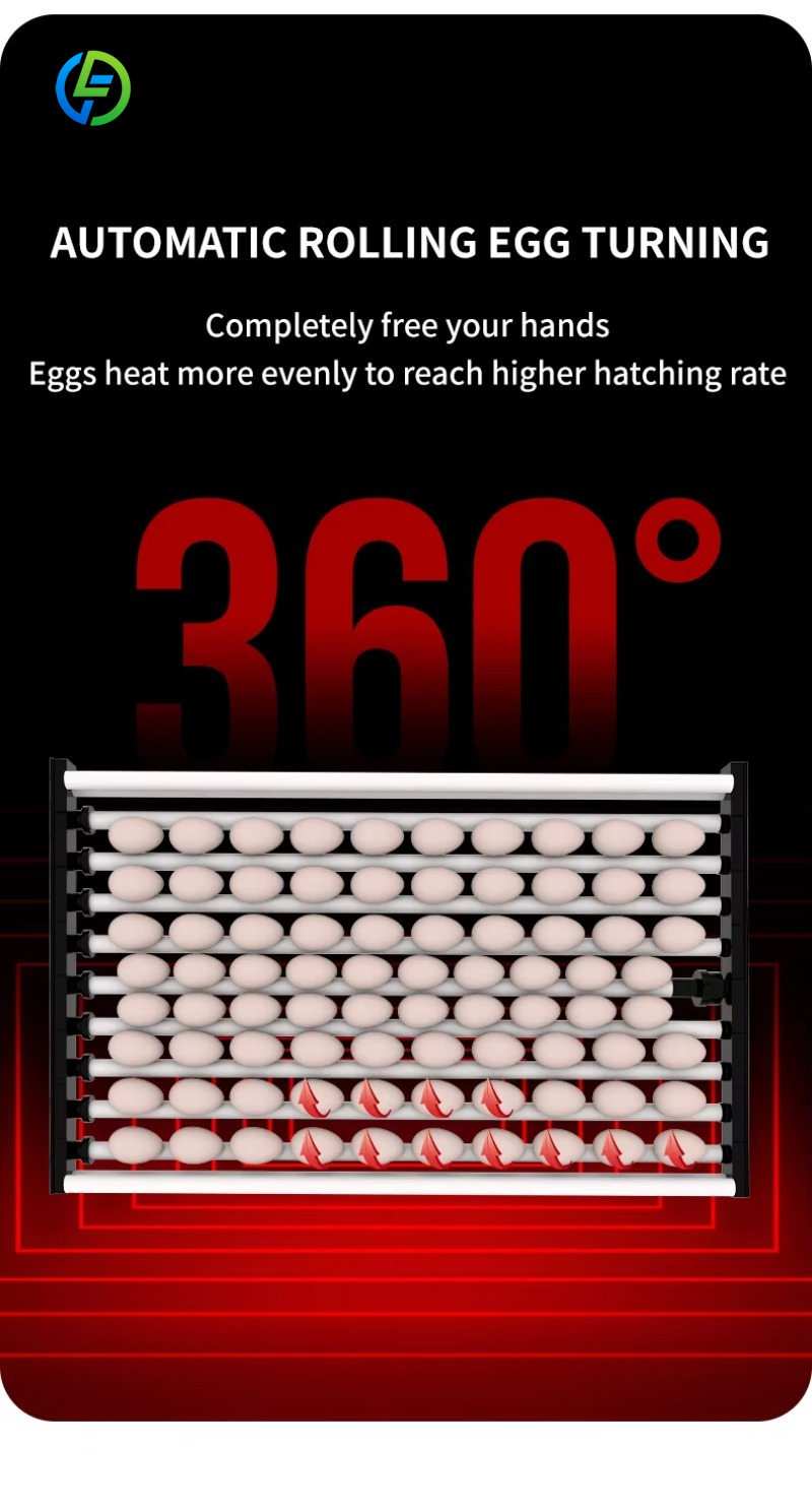 New Quail Chicken Incubator 50 - Rotary Bakery Oven 评论和价格