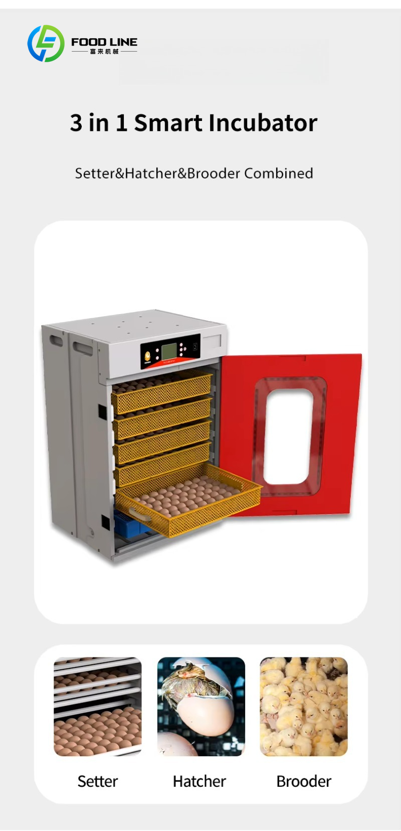 New Quail Chicken Incubator 50 - Rotary Bakery Oven 评论和价格